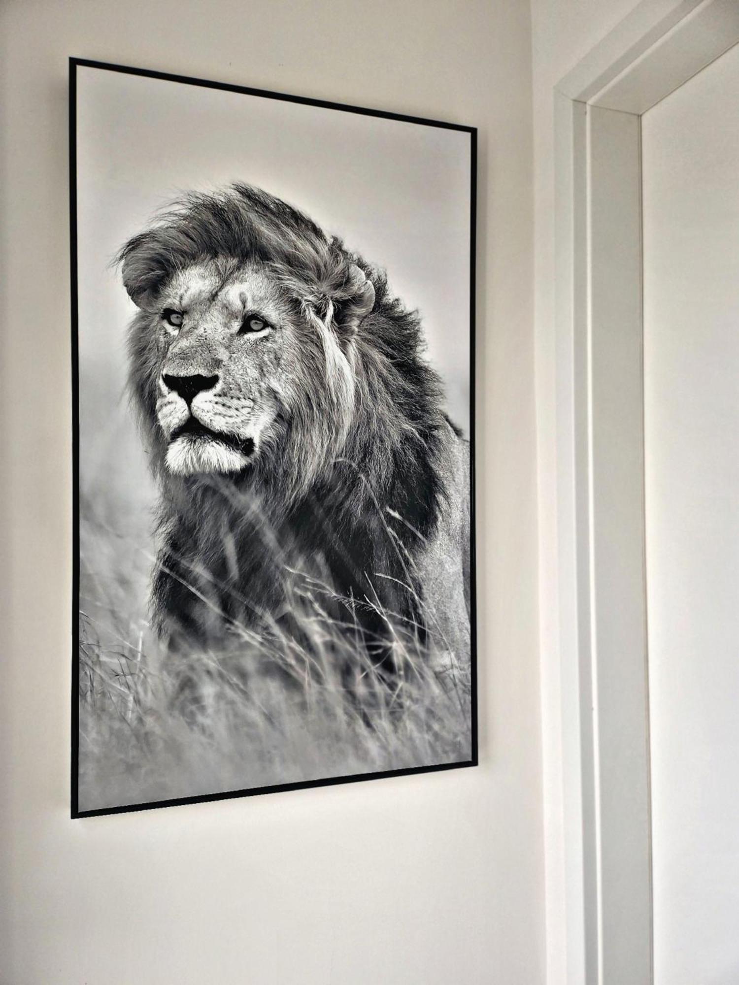Lions Place Premium Apartments Comfort Optionaler Zugang Zum Spa- Bereich Heidenheim an der Brenz Εξωτερικό φωτογραφία